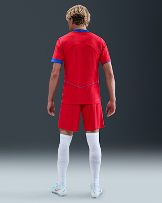 NIKE公式】パリ サンジェルマン (PSG) 2025/26 マッチ サード メンズ